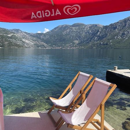 Apartments Dabovic Котор Экстерьер фото