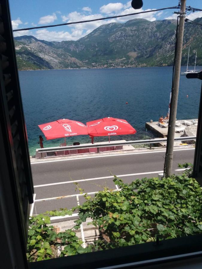 Apartments Dabovic Котор Экстерьер фото